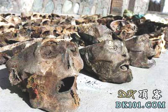 (骇人新闻)佛教密宗人体法器全球供不应求,少女游西藏险遭活体解刨